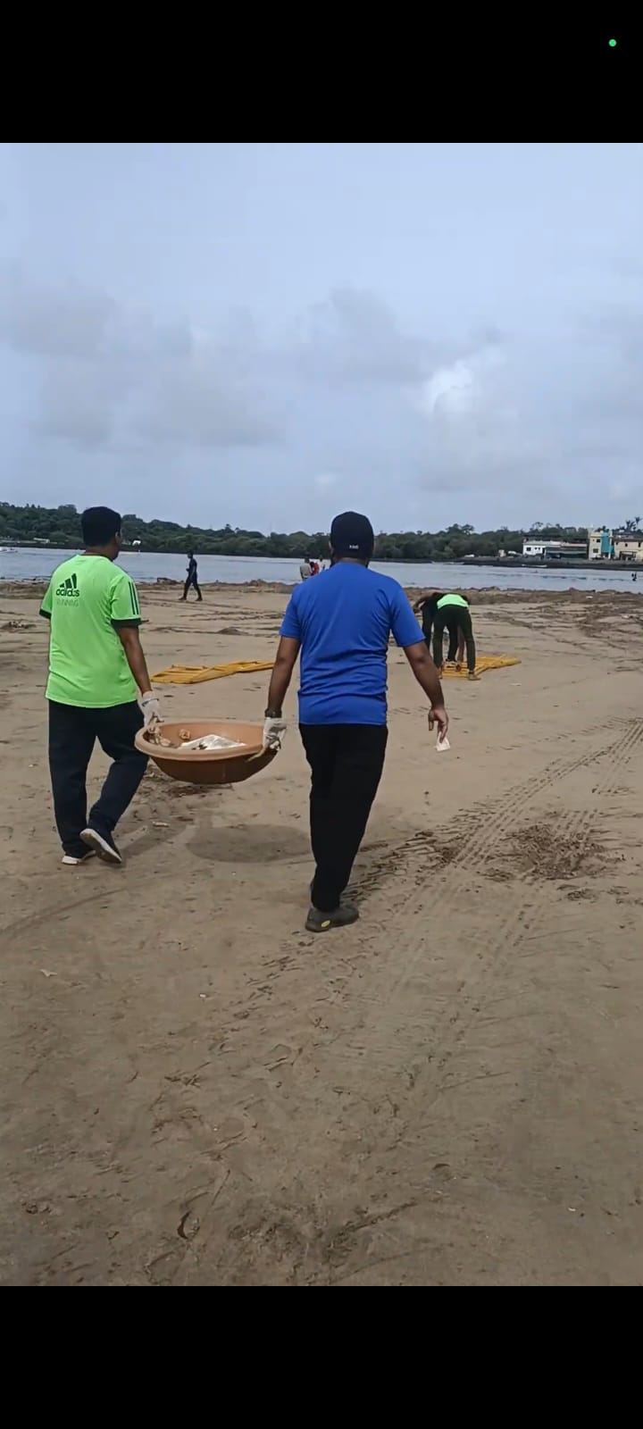 Volunteers Clearing Shoreline Litter