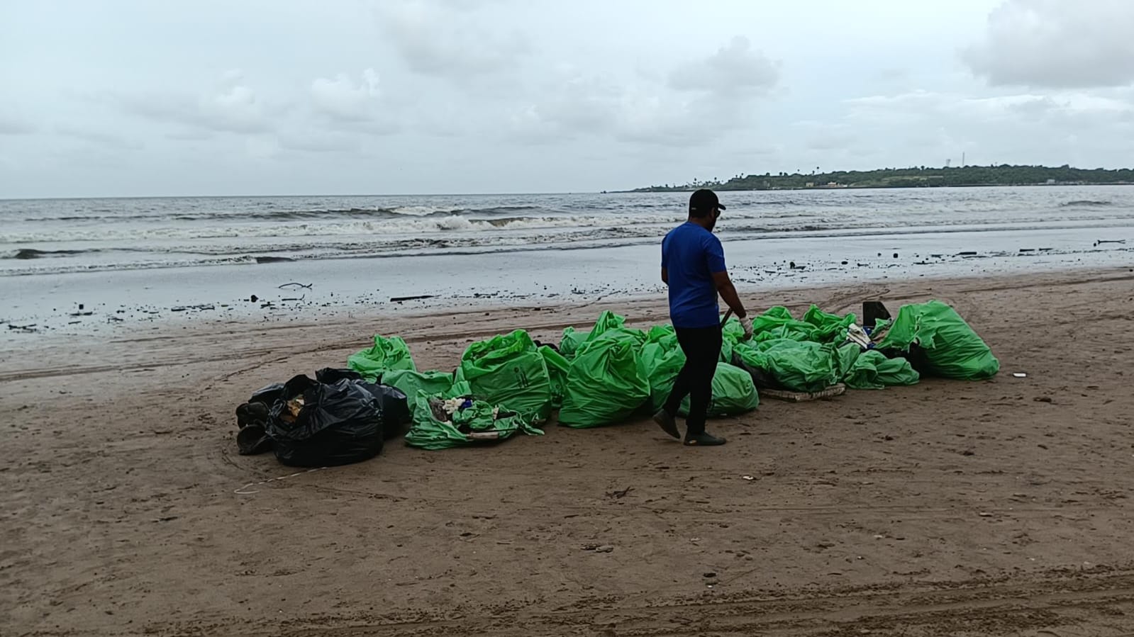 Collected Waste at Beach Clean-up Drive