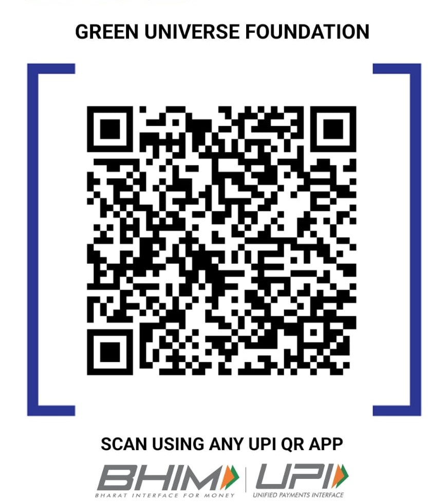 Official Green Universe Foundation UPI donation QR code